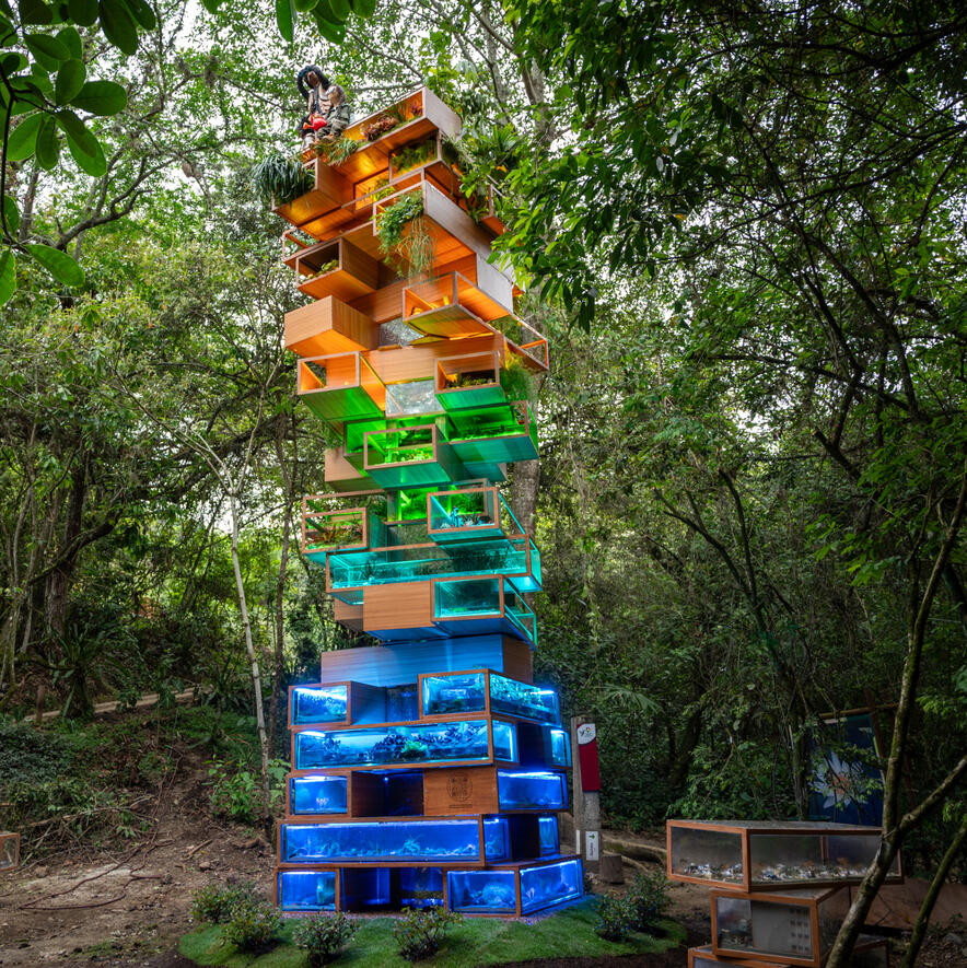 Jenga At Botanical Garden